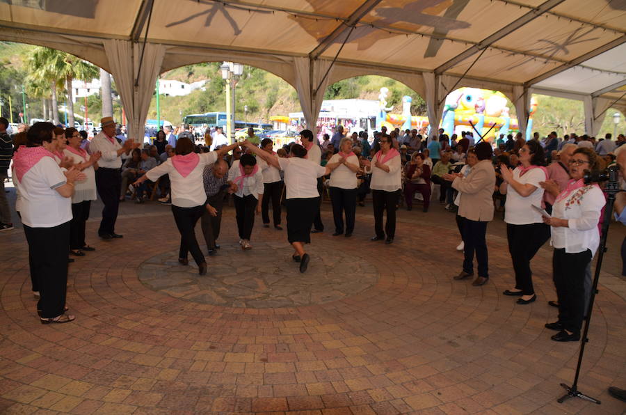 Acoge una fiesta multitudinaria para festejar la distinción de la FAO a un sistema de cultivo tradicional del que viven 2.000 familias de la Axarquía