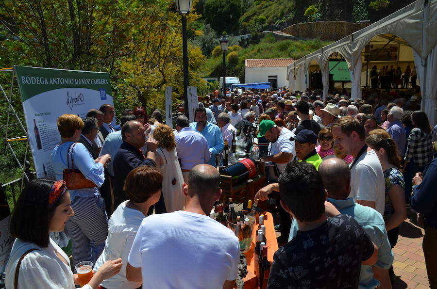 Acoge una fiesta multitudinaria para festejar la distinción de la FAO a un sistema de cultivo tradicional del que viven 2.000 familias de la Axarquía