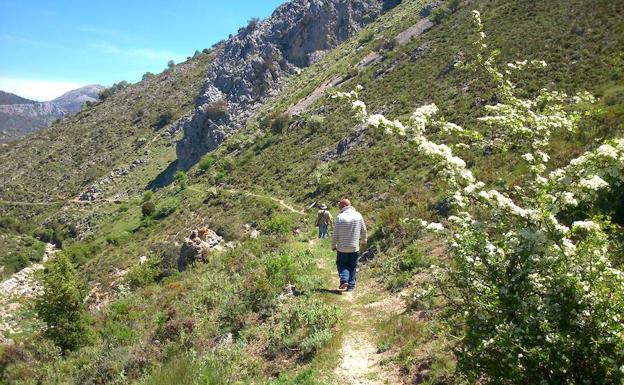 Imagen principal - Camino que une a Alfarnatejo con Alfarnate | Vista general de Alfarnatejo con el telón de fondo de los tajos | Entorno de Alfarnatejo