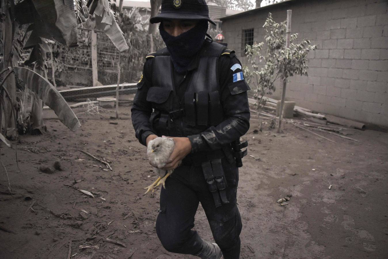 La erupción del volcán de Fuego en Guatemala ha causado al menos una treintena de muertos, aunque la cifra sigue aumentando. Las fuerzas de seguridad y salvamento se han movilizado para salvaguardar a los afectados que se cuentan por miles.