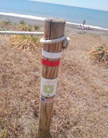 Imagen secundaria 2 - Gaviotas en la playa de Chilches | Torre Moya, en Benajarafe | Esta ruta es la segunda etapa de la Gran Senda de Málaga