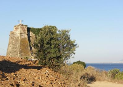 Imagen secundaria 1 - Gaviotas en la playa de Chilches | Torre Moya, en Benajarafe | Esta ruta es la segunda etapa de la Gran Senda de Málaga