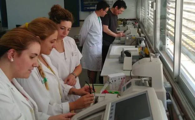 Estudiantes del ciclo de Óptica de anteojería, que se imparte en la modalidad dual en el Sierra Bermeja. 