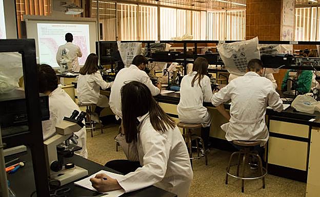 Estudiantes, en uno de los laboratorios de la Facultad de Ciencias.