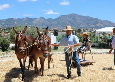 Imagen secundaria 1 - La feria de Las Lagunas reúne a 20.000 personas en cuatro días de fiestas y conciertos