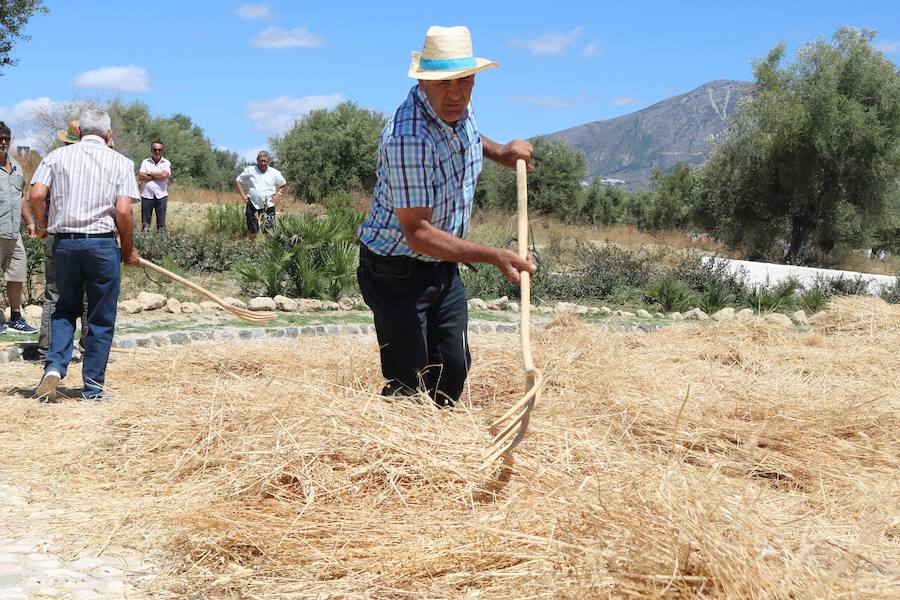 Fotos: Cuatro días de feria en La Lagunas