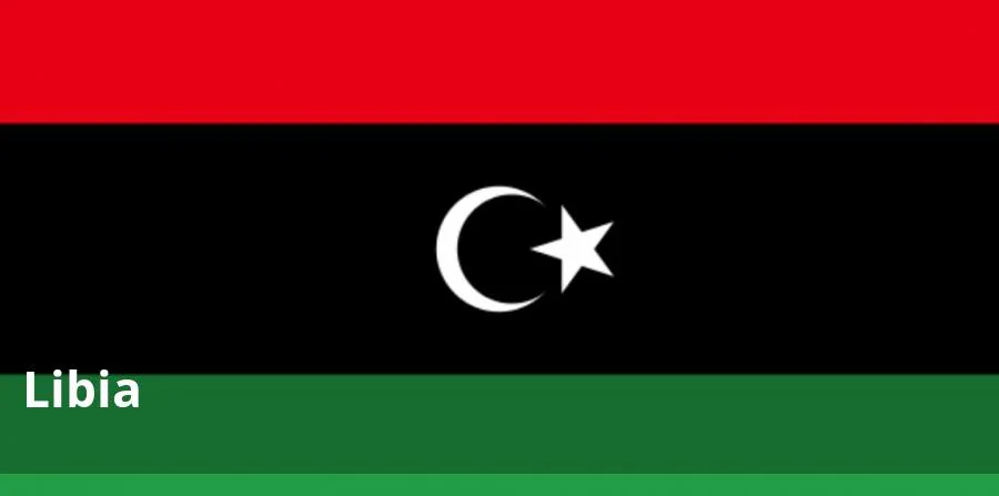 Debido al grave deterioro de la situación de seguridad en Libia, incluyendo la capital Tripoli y sus alrededores y Benghazi, se recomienda a todos los españoles que abandonen el país. Libia se ve gravemente afectada por la violencia, el terrorismo y el deterioro general de la seguridad. Los secuestros, atracos a mano armada y, en alguna ocasión, asesinatos contra ciudadanos extranjeros se están produciendo en todo el país. En diversas regiones de Libia se producen enfrentamientos entre las numerosas milicias que operan en el país, y entre éstas y grupos extremistas.