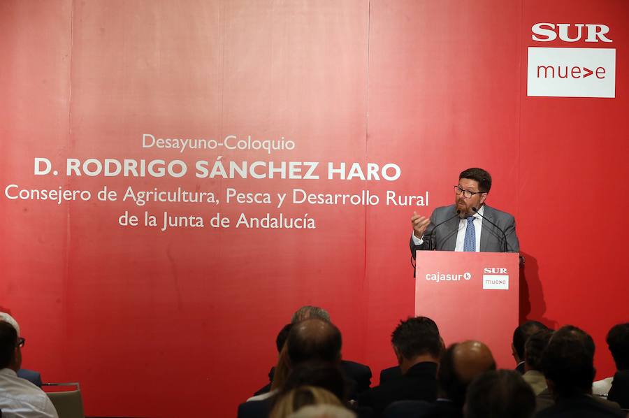 El consejero de Agricultura, Pesca y Desarrollo Rural de la Junta participó en este Foro SUR