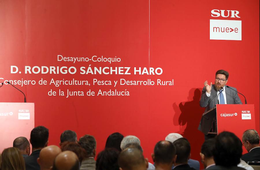 El consejero de Agricultura, Pesca y Desarrollo Rural de la Junta participó en este Foro SUR