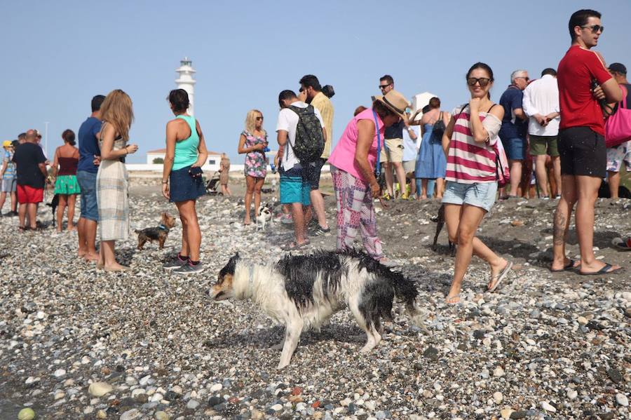 Está situada en la desembocadura del río de Torrox y ocupa casi 300 metros de franja litoral.