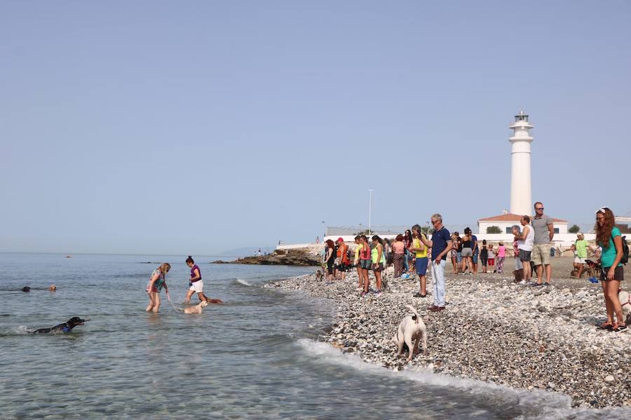Está situada en la desembocadura del río de Torrox y ocupa casi 300 metros de franja litoral.