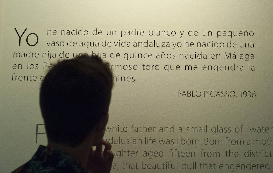 La Casa Natal, el Centre Pompidou Málaga y la Colección del Museo Ruso ofrecieron, con la entrada gratuita, diversas actividades entre las ocho de la tarde y la medianoche y diez grados menos que en la calle dentro de la iniciativa 'Noche en el Museo'.