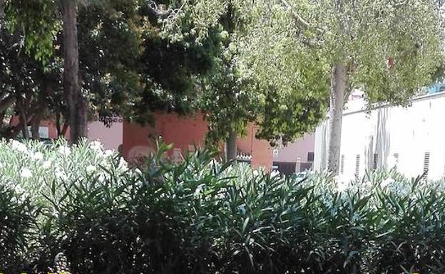 Piden más atención a estos jardines 