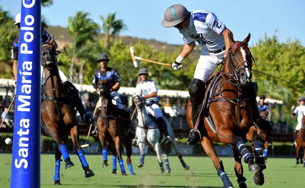 Caballos y jinetes son los protagonistas del Torneo Internacional de Polo. 