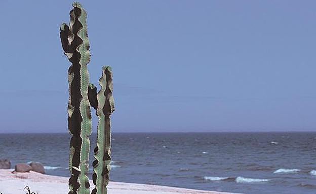 Imagen de archivo de la playa de Saladillo.