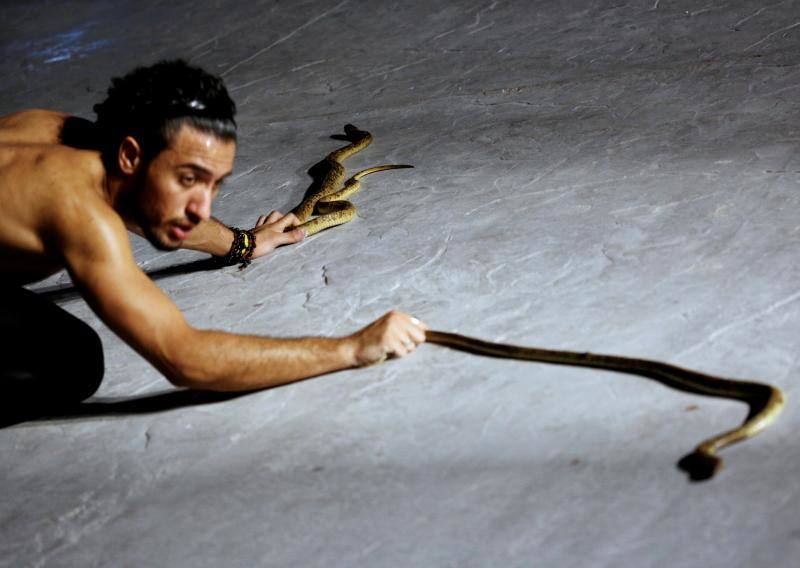 El encantador de serpientes, Amier El Refaie, duerme a las serpientes en su show en el Red Sea resort de Sharm El Sheikh, en Egipto.