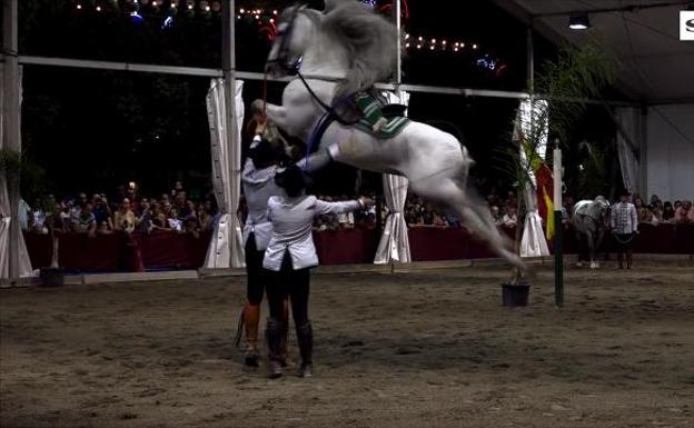 Todos los vídeos de la Feria de Málaga 2018