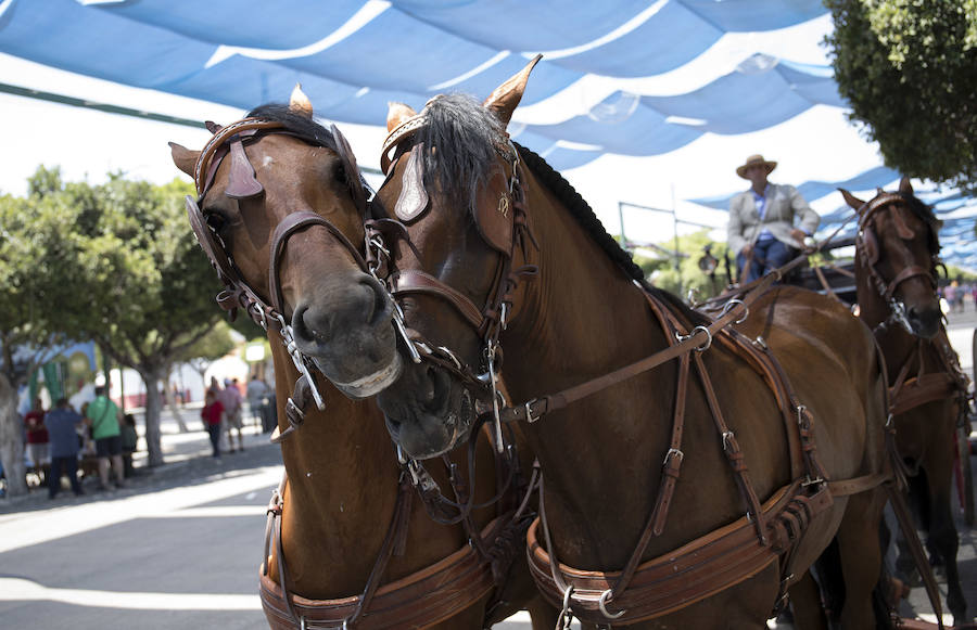 Fotos: Las mejores imágenes del primer domingo de la Feria de Málaga 2018