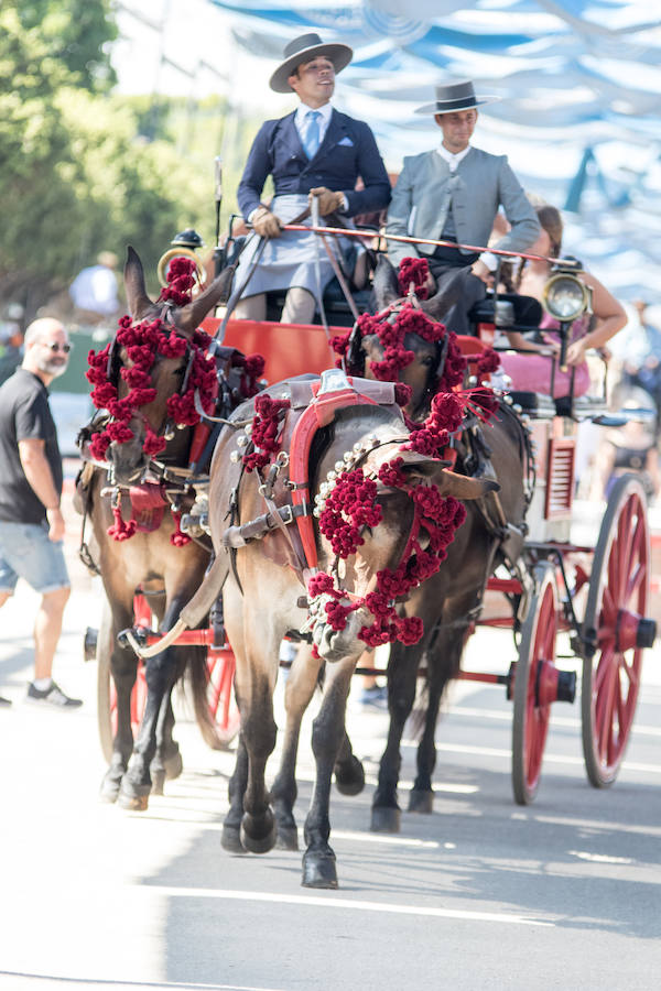 Fotos: Las mejores imágenes del jueves de la Feria de Málaga 2018