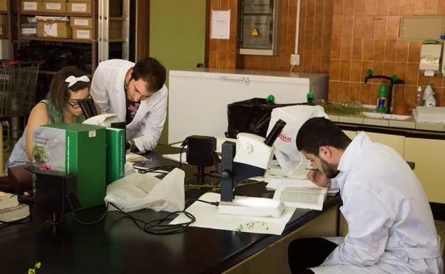 Estudiantes, en uno de los laboratorios de la Facultad de Ciencias. 
