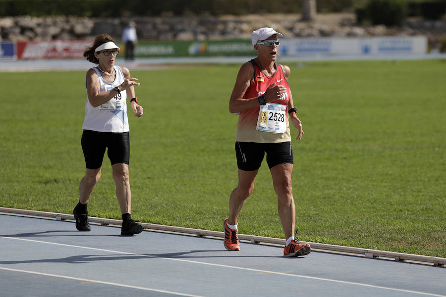 Málaga se convierte hasta el 16 de septiembre en la capital mundial del atletismo máster con la celebración del XXIII Campeonato Mundial de Atletismo Máster, que contará con la participación de más de 8.000 atletas, de los cuales 1.788 son españoles