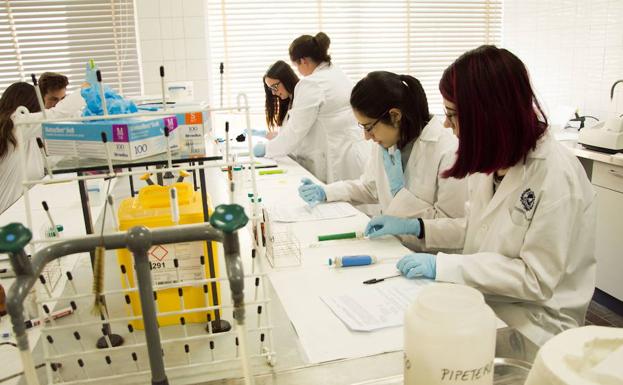 Estudiantes, en uno de los laboratorios de la Facultad de Medicina.