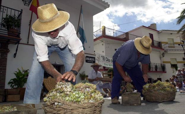 Qué hacer en Málaga este domingo 16 de septiembre de 2018