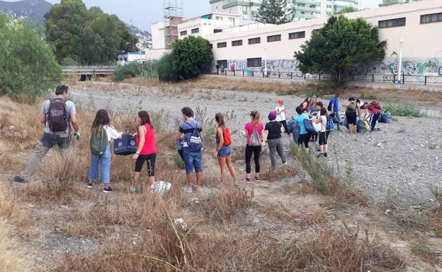 Imagen principal - Voluntarios recogen la basura del Arroyo Jaboneros con motivo del Día Mundial de la Limpieza