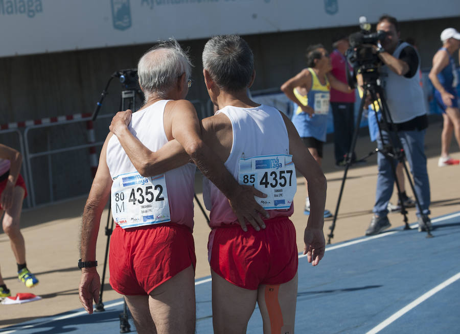 Málaga se convierte hasta el 16 de septiembre en la capital mundial del atletismo máster con la celebración del XXIII Campeonato Mundial de Atletismo Máster, que contará con la participación de más de 8.000 atletas, de los cuales 1.788 son españoles