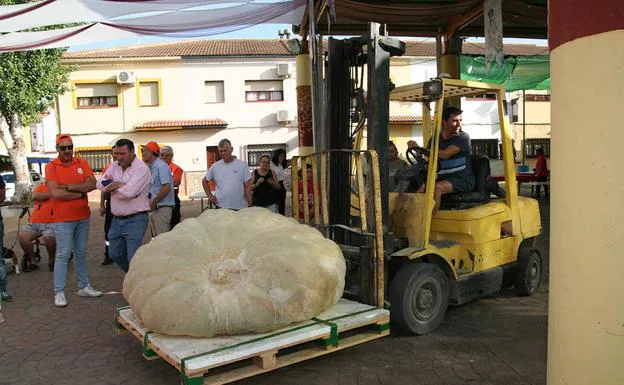 Un momento del concurso celebrado este fin de semana. 