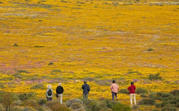 Varios viajeros observan las flores del Kalahari. 