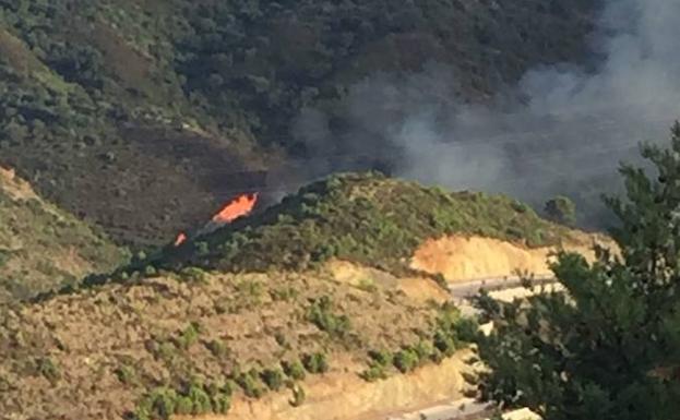Extinguido un incendio en Ojén en el Cerro Los Granitos