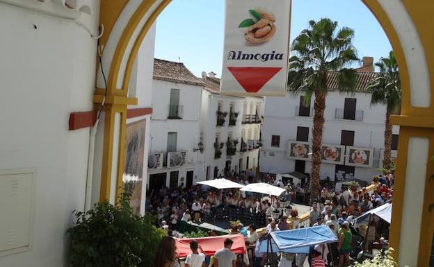 Este domingo Almogía celebra su Fiesta de la Almendra. 