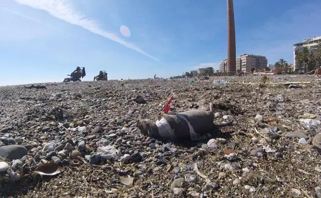 Basura y ratas muertas se acumulan en varios kilómetros de playas de Málaga capital