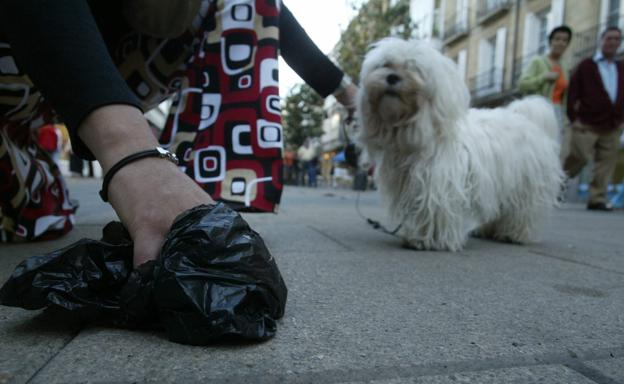 El PP se compromete a poner más sanciones por no recoger los excrementos caninos en Málaga 