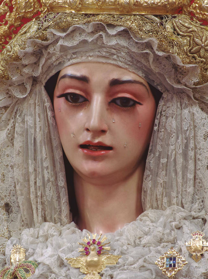 La muestra, organizada por la junta provincial de la Asociación Española contra el Cáncer (AECC), reúne en la calle Larios 45 fotos de Eduardo Nieto de las Vírgenes de Semana Santa y de la Patrona de Málaga. Más información  aquí .