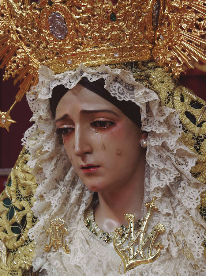 La muestra, organizada por la junta provincial de la Asociación Española contra el Cáncer (AECC), reúne en la calle Larios 45 fotos de Eduardo Nieto de las Vírgenes de Semana Santa y de la Patrona de Málaga. Más información  aquí .