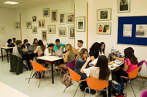 Estudiantes, en una sala de trabajo de la Facultad de Ciencias de la Educación. :: sur
