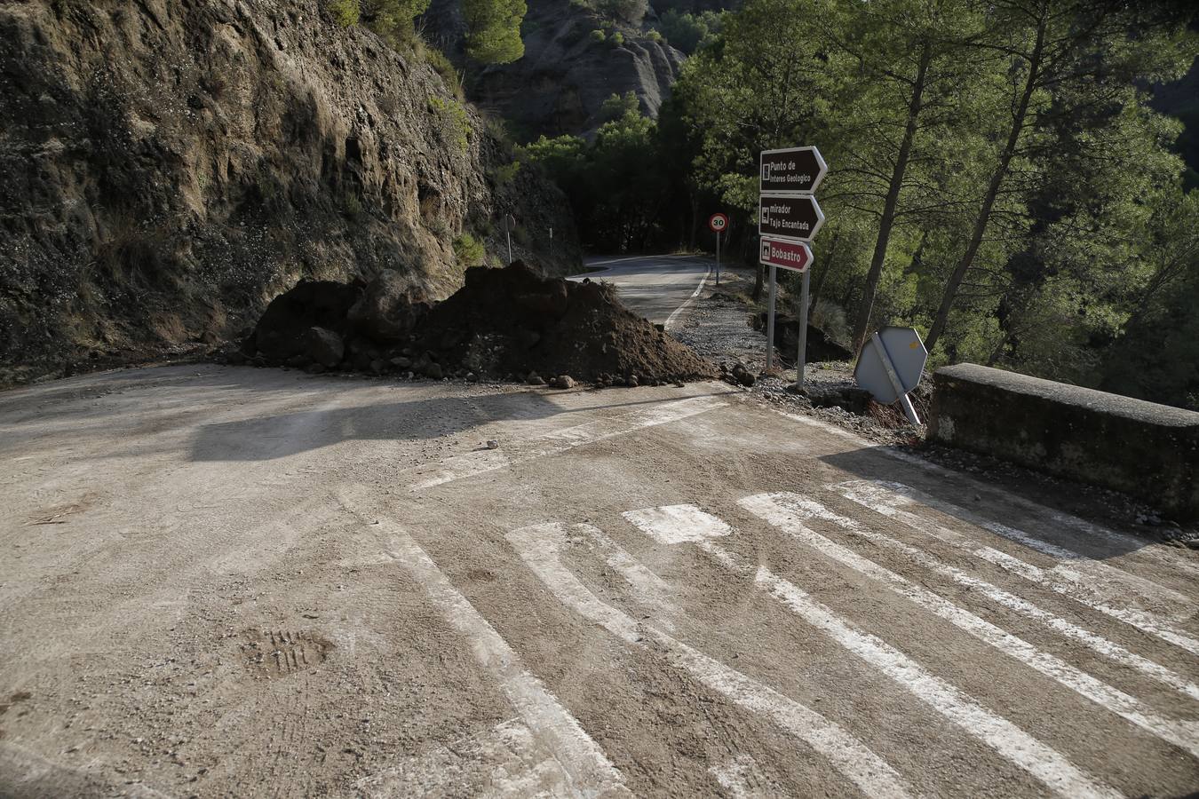 Bobadilla, Campillos, Teba, Casarabonela, Ardales y Estepona se llevan lo peor de la alerta roja que ha dejado registros históricos