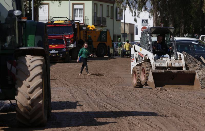 Labores de limpieza en Campillos tras la tromba, con la ayuda de la UME