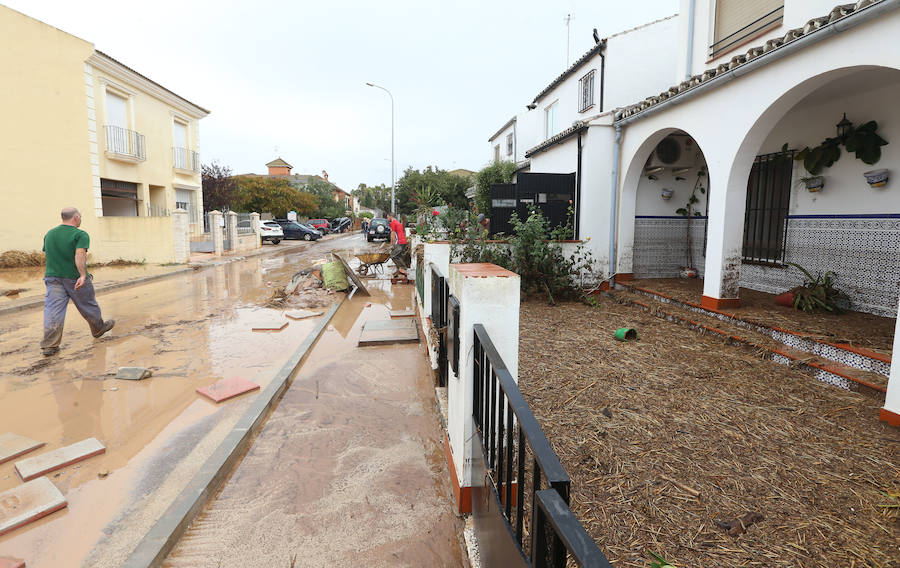 Bobadilla, Campillos, Teba, Casarabonela, Ardales y Estepona se llevan lo peor de la alerta roja que ha dejado registros históricos