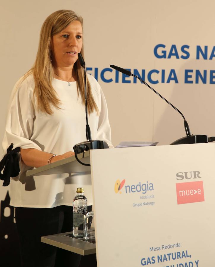 Fotos: Así ha sido la mesa redonda &#039;Gas natural, sostenibilidad y eficiencia energética en el sector turístico&#039;