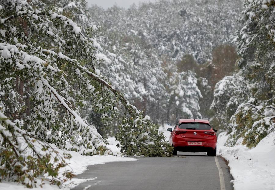 Los efectos del temporal de frío y nieve han llegado a Asturias, al Sistema Central y han dejado un manto blanco en Sierra Nevada