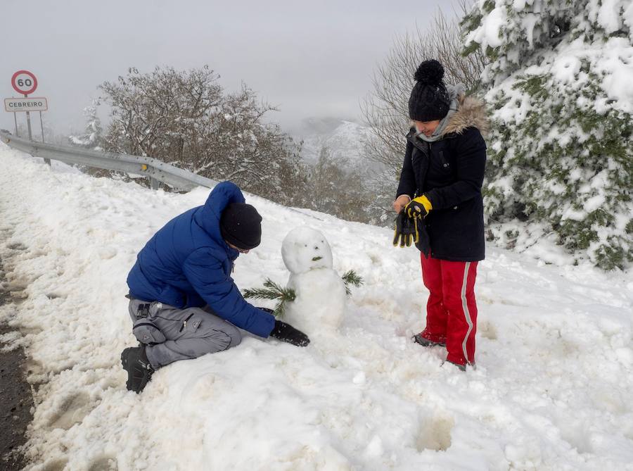 Los efectos del temporal de frío y nieve han llegado a Asturias, al Sistema Central y han dejado un manto blanco en Sierra Nevada