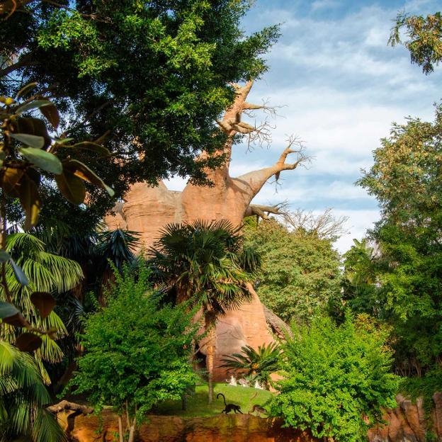 Bioparc, aire fresco para Fuengirola