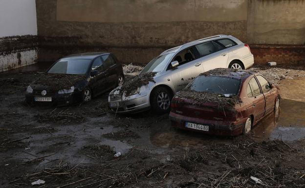 Destrozos por el temporal en Campillos.