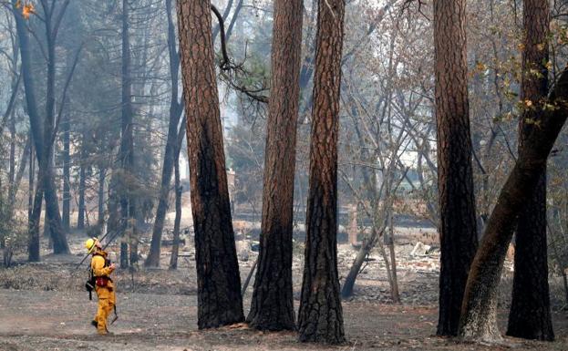 California busca antropólogos para identificar los cadáveres