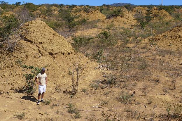 Un investigador en una zona con montículos de tierra y esquema de la red de túneles. 