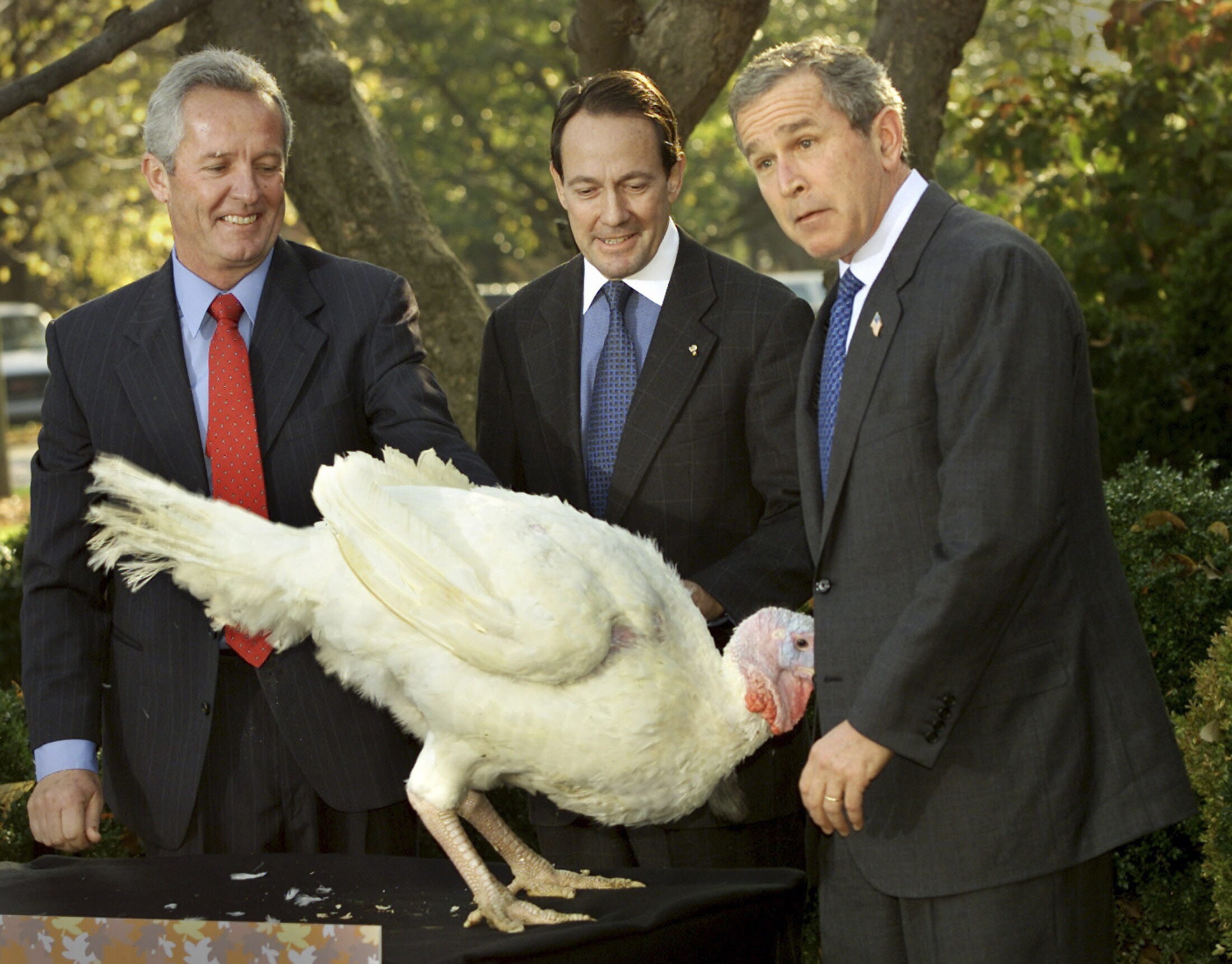 Imagen secundaria 2 - En la imagen superior, un pavo asado preside el banquete familiar. Abajo, Trump y Bush, presidente y expresidente de Estados Unidos, respectivamente, perdonan a un pavo durante el Día de Acción de Gracias. 