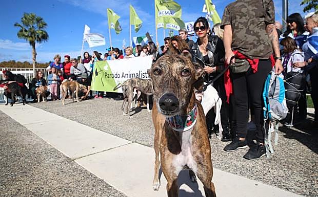 Pacma promete el fin de la caza en un acto ante 300 personas en Málaga